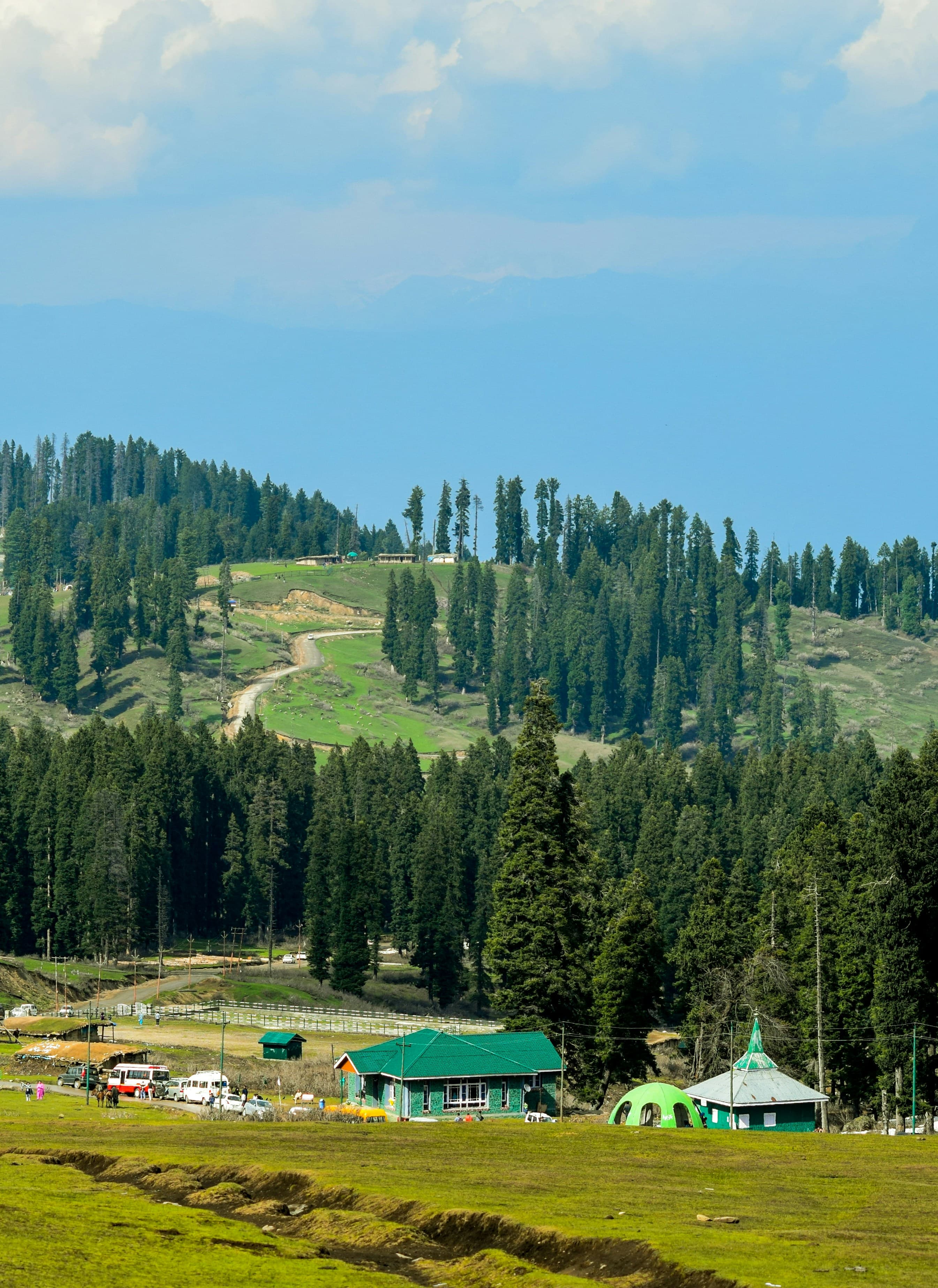 Tulip Garden Experience